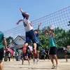 hanh23e1