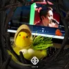 eye_xivi