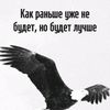 user5926213039874