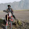 semut.kecil26