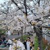 mang_hesa46