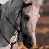ali.____15