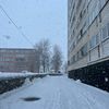 emmu_olen