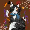 raven.catt