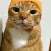 cte_.lvmax