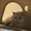 xeni_141