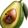 oallmation