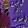 saeed.rheem