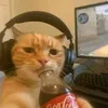 jay_editszz12