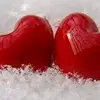user17126200522831