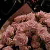 am.ameer98