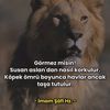 cuma.evren