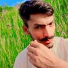 waleed.iqbal.dar