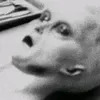 maximilian.eisele8