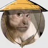 jhon_px7