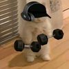 matthewlovesthegym14