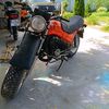 lovisam36