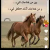 aboulfadil.mohame