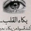 user7698342019505