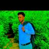 sacdi248129469368