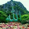 hamza.jamil512