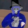 yrboystar_vr