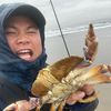 Beeboo Brandon 🦀