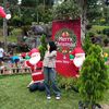 shafa_imutss