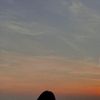 lu129l