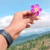 damitha.udayangani