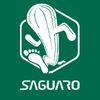 SAGUARO Shoes