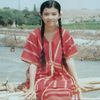shwesin8738