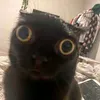 PurrLaughsCentral