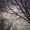 usermoon44444