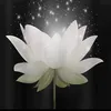 luan.duong974