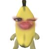 iccaarowrr