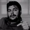 polla.talbani