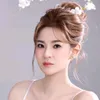 kim.anh1686
