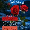 user8161468232920