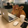 tinhlinh_