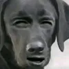 jke479