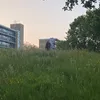 moedervansarah2