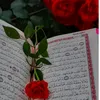user7531977928129