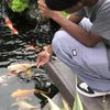 nateeanusuriya