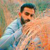 hamed.420