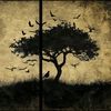mohammadrifat903