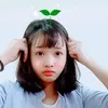 mongbu888