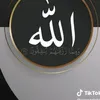 user229261904433