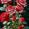 user9105613540357