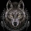 7ahmed_amer77
